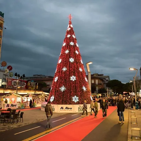 Apartment Domus Fiorita