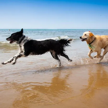 Domus Fiorita Lido di Jesolo